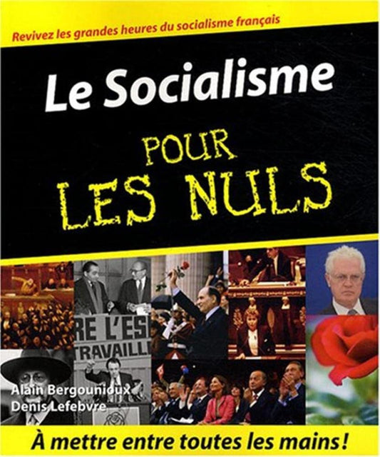 Le Socialisme pour les nuls cover image