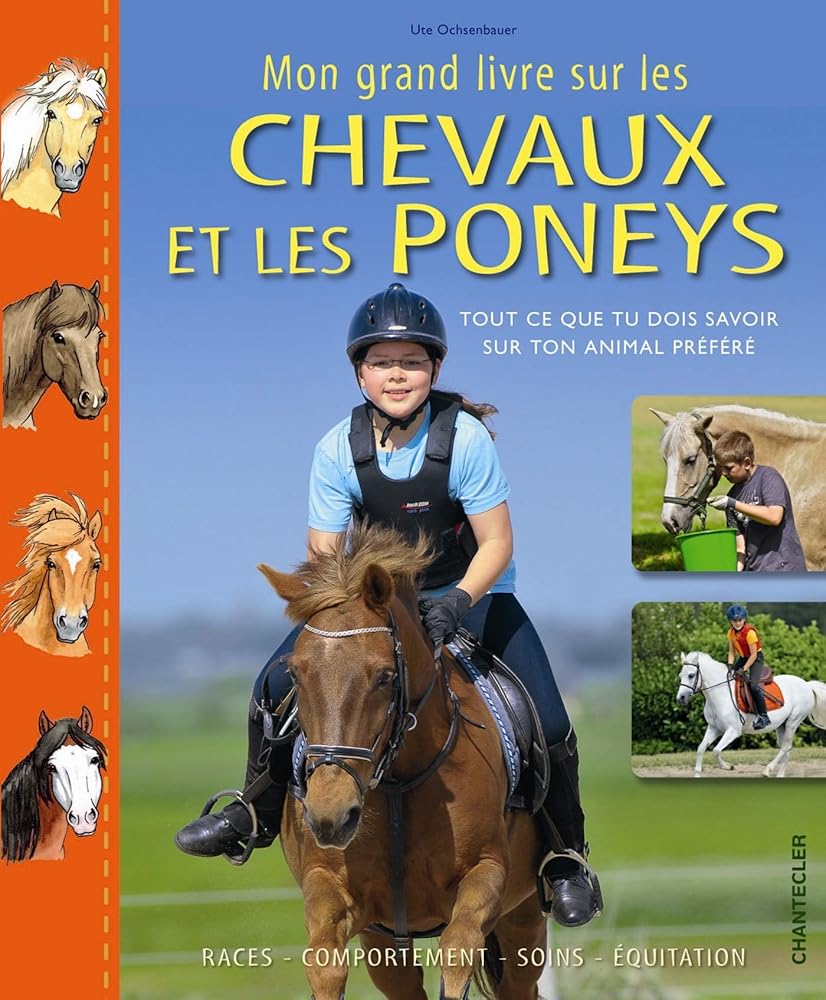MON GRAND LIVRE SUR LES CHEVAUX ET LES PONEYS (0) cover image