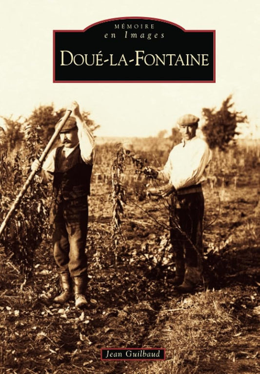 Doué-la-Fontaine cover image