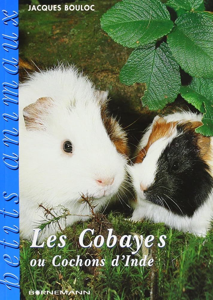 Les Cobayes ou Cochons d'Inde cover image
