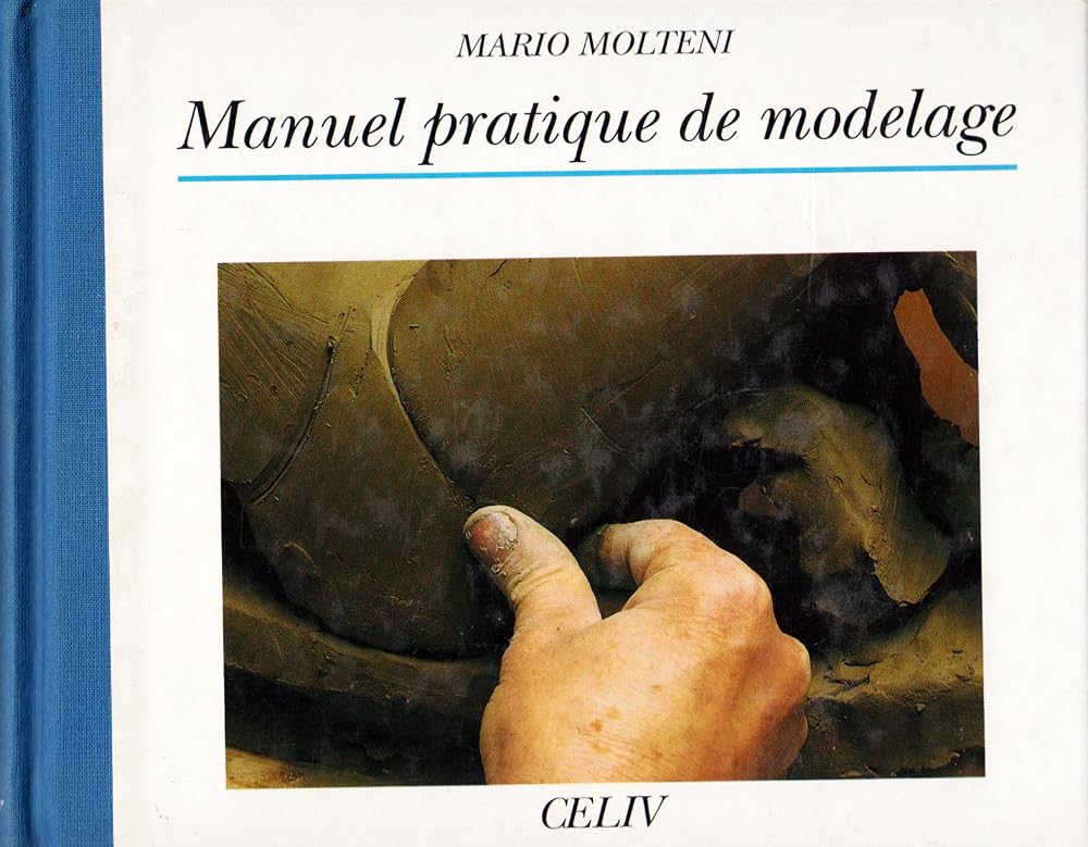 manuel pratique de modelage cover image