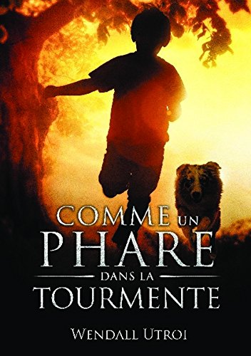Comme un phare dans la tourmente cover image